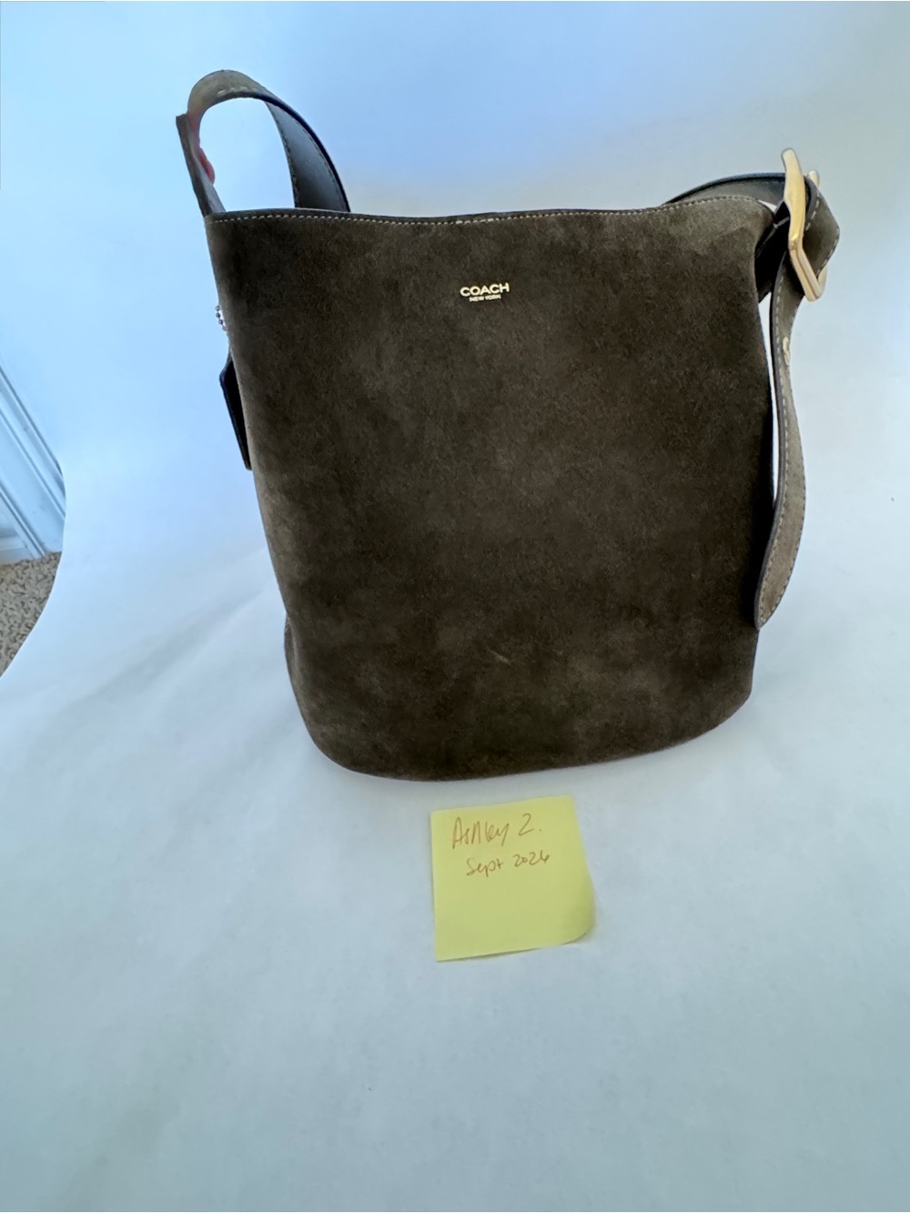 Coach Suede Bucket Bag in OLIVE